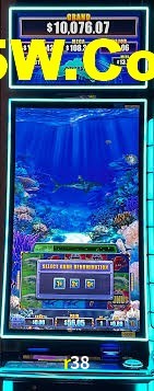 Live Casino r38